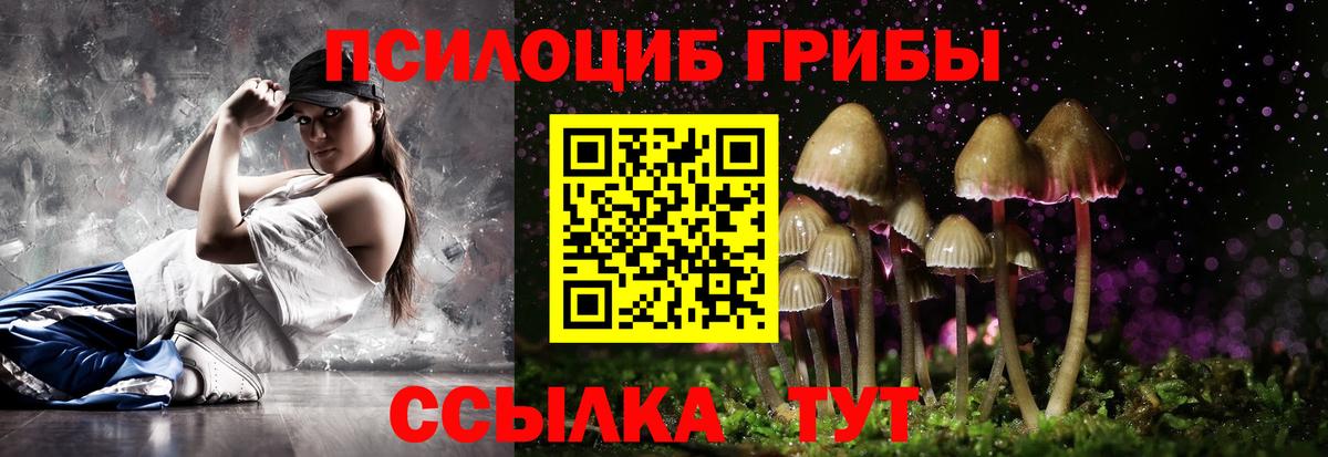 сколько стоит  Галлюциногенные грибы мухоморы  Вход с VPN  Миллерово  Псилоцибиновые грибы мицелий 
